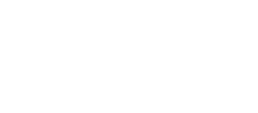 NewDigit Logo